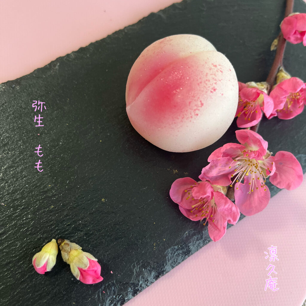 【Tokyo】Seasonal Wagashi Cultural Experience in Tokyo
